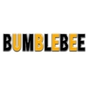 Радио Bumblebee